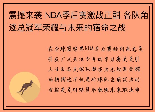 震撼来袭 NBA季后赛激战正酣 各队角逐总冠军荣耀与未来的宿命之战